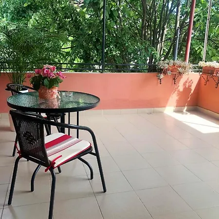 Casa Constantin Si Elena (adults Only)