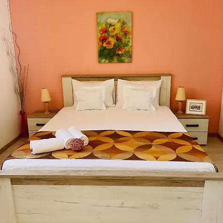 Πανσιόν Casa Constantin Si Elena (adults Only)